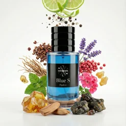 Alternative view of Blue S